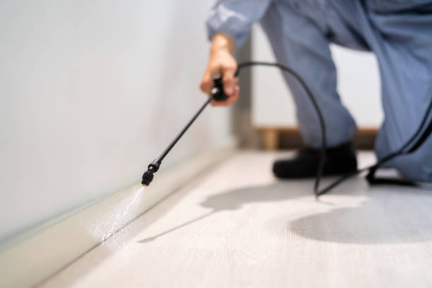 Licensed Fumigation Services service in Crowley Lake, CA - Nex Pest Control