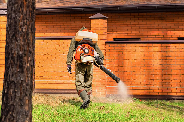 Trusted Ant Control service in Crowley Lake, CA - Nex Pest Control